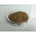 Celery Leaf P.E.Celery Seed Extract Powder